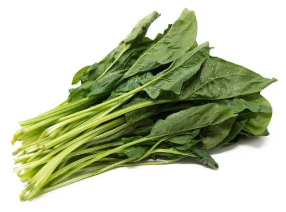痛风患者可以吃菠菜吗 中嘌呤食物 加重痛风结石