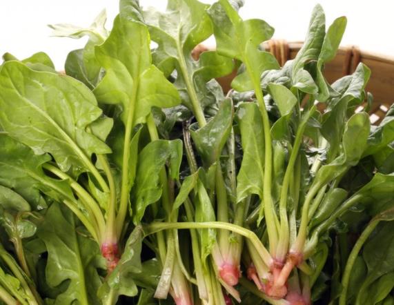 痛风患者可以吃菠菜吗 中嘌呤食物 加重痛风结石