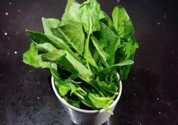 菠菜吃多了有什么反应 影响肠胃健康消化不良