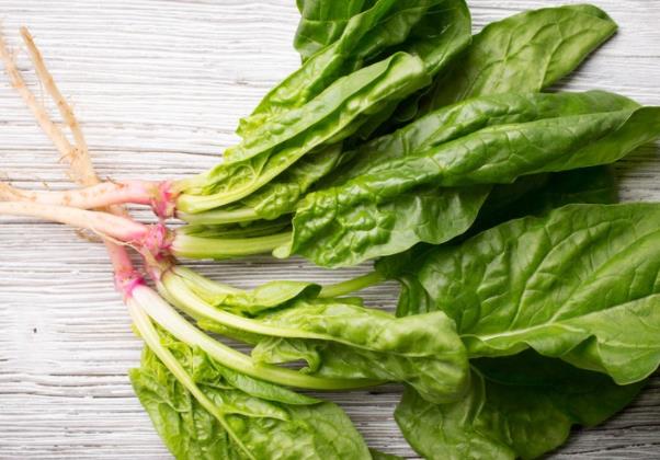 吃菠菜能增加力气吗 增加肌肉力量补血美容