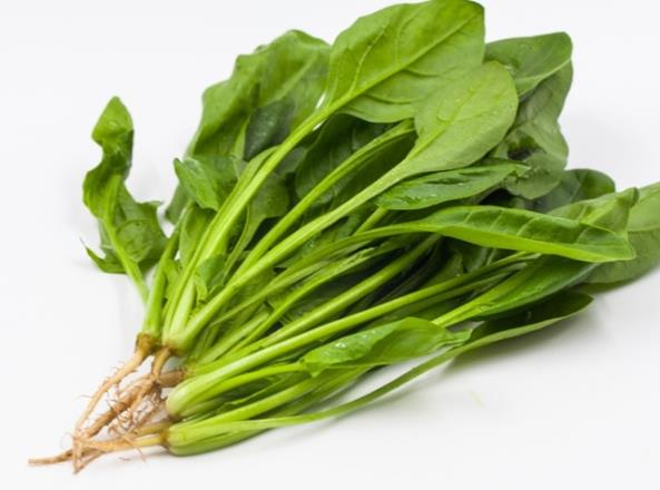 吃菠菜能增加力气吗 增加肌肉力量补血美容
