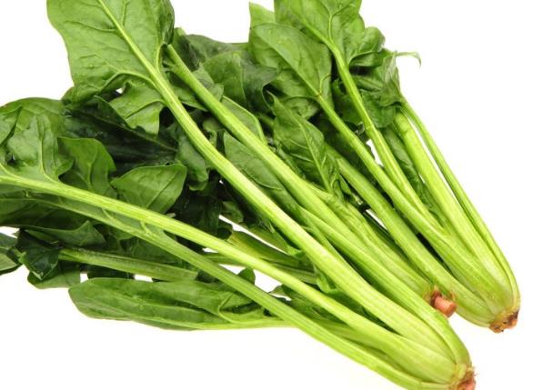 吃菠菜可以喝牛奶吗