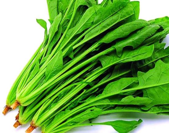 吃菠菜拉肚子怎么回事