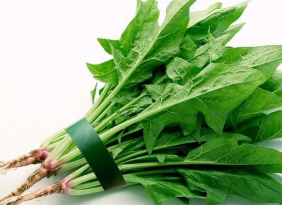 菠菜可以和猪肝一起吃吗