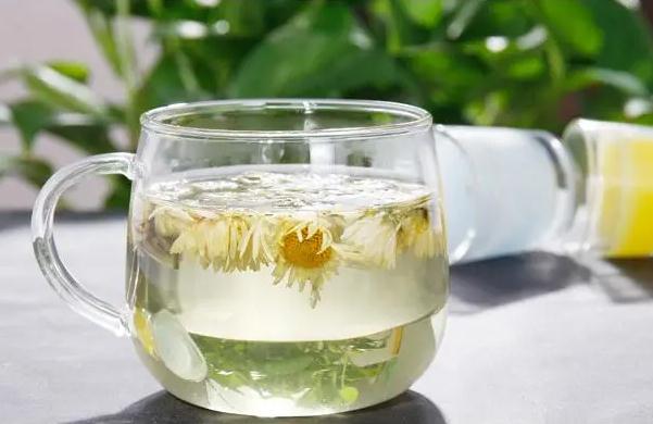 菊花茶是大朵的好还是小朵的好？菊花茶是提神还是安神？
