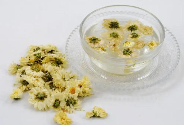 菊花茶可以天天喝吗？哪些人不宜喝菊花茶？