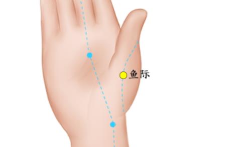 秋天常按这些穴位 养生效果好