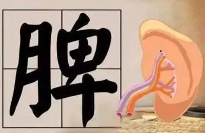 脾气虚的人，多半是这8个原因造成的，别不当回事