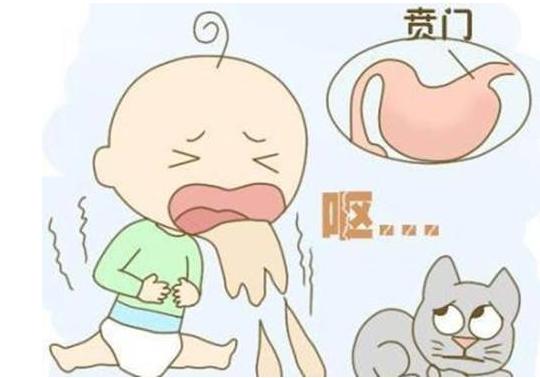 决明子引发恶心腹泻