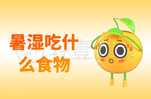 暑湿吃什么食物？