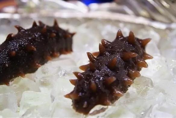 即食海参和干海参哪个好？减肥的人能吃海参吗？