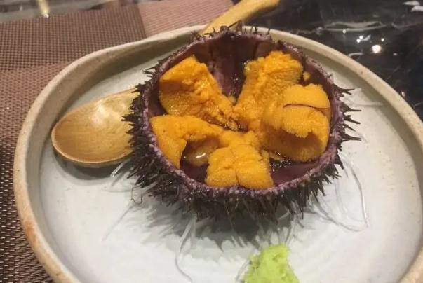 海胆为什么这么贵？海胆生吃好还是熟吃好？
