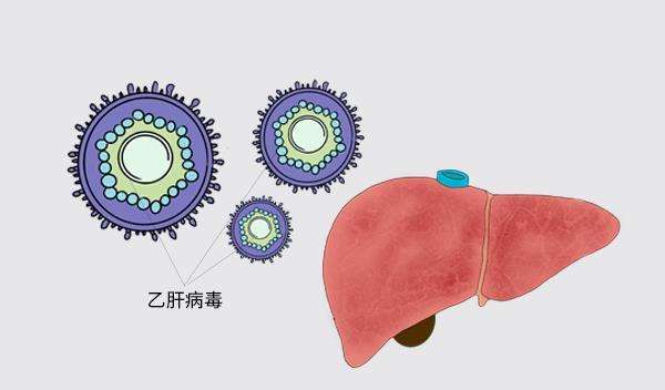乙肝是怎么来的？这6个因素是“帮凶”，早发现早预防