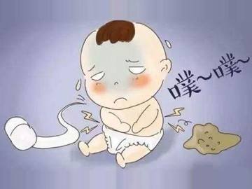 脾阳虚会大便不成型