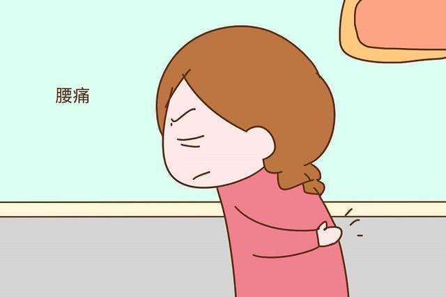 脾阳虚会腰痛