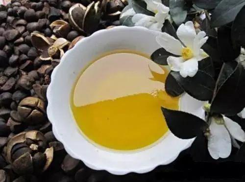油茶籽油有哪些功效与作用及注意事项呢