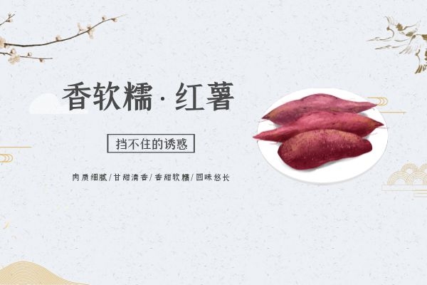 冬吃根吃红薯.jpg
