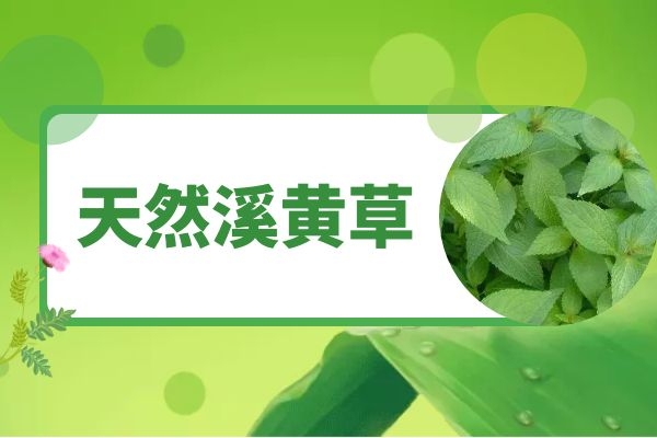 溪黄草的功效和作用具体有哪些？溪黄草是什么？