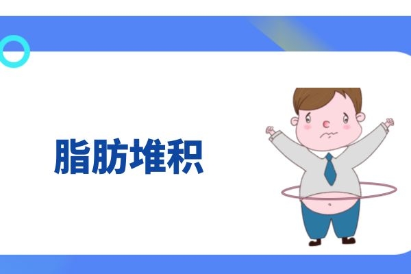 脂肪的形成.jpg
