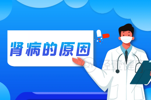 导致肾病的原因有哪些？常见因素有这几个
