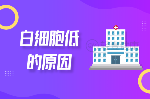 白细胞低的原因有哪些？多为这几个因素