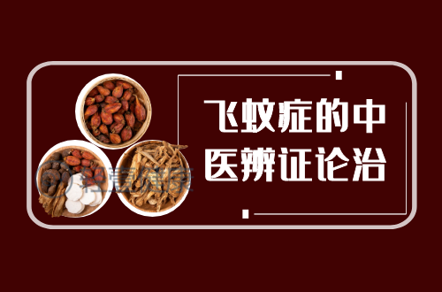 飞蚊症的中医辨证论治