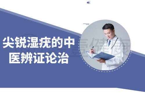 尖锐湿疣的中医辨证论治