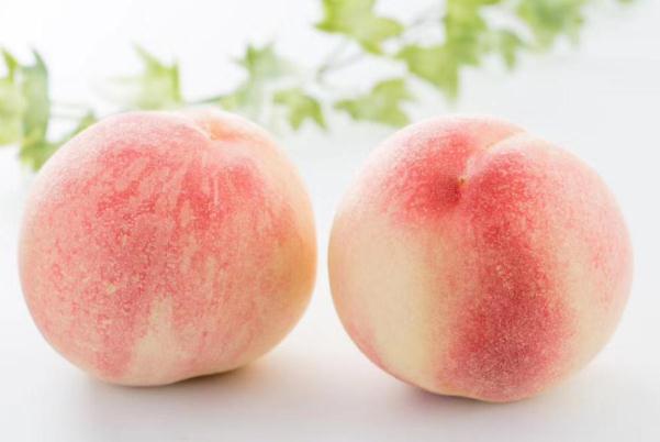 水蜜桃有哪些营养价值?水蜜桃的皮可以吃吗?