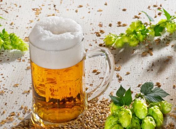 喝了啤酒能喝牛奶吗 保护胃黏膜缓解酒精沉淀