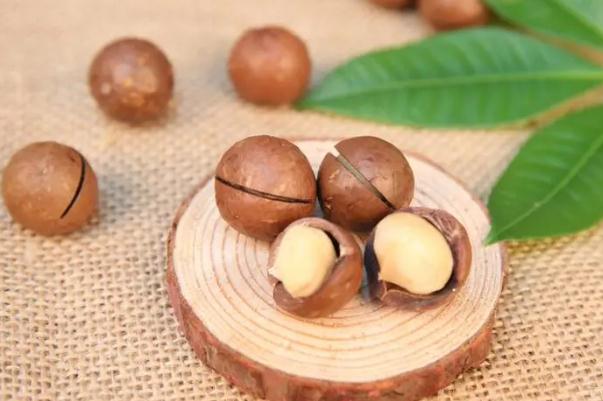 夏威夷果怎么保存好？夏威夷果能放冰箱吗？