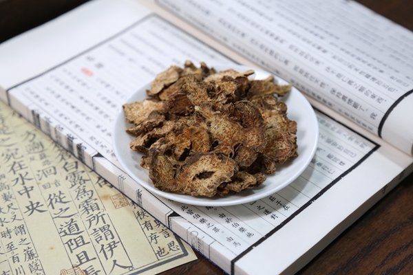 苍术的功效与作用,传统食材里的实用价值 苍术的功效与作用