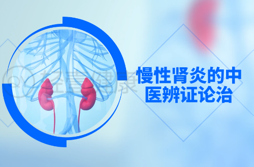 慢性肾炎的中医辨证论治