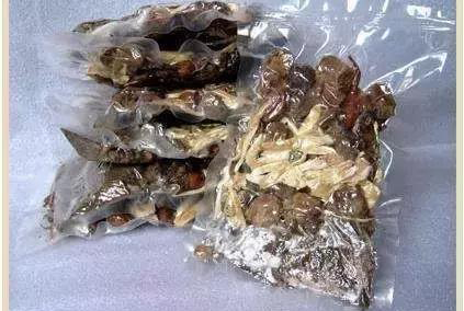 知母炖鹌鹑的食疗制作方法