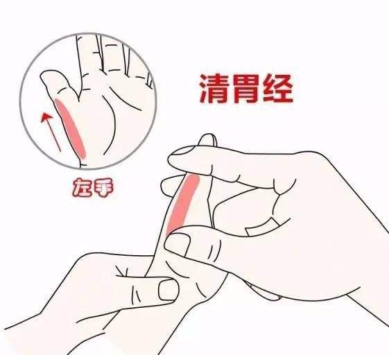 清胃经