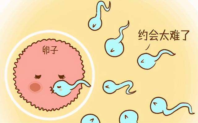男性不育