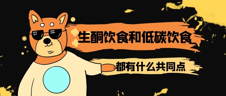 生酮饮食和低碳饮食的共同点有哪些？哪个减肥更好呢？