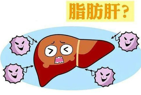 脂肪肝的食疗方