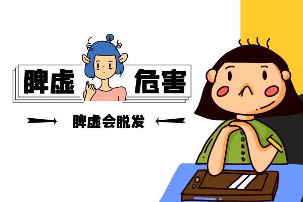 女性脾虚容易脱发.jpg 女性脾虚容易脱发.jpg