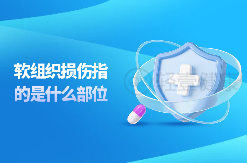软组织损伤指的是什么部位？