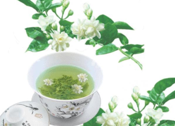 茉莉和玫瑰能一起泡吗 喝茉莉玫瑰花茶有哪些功效