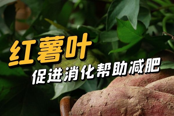 红薯叶帮助减肥.jpg 红薯叶帮助减肥.jpg
