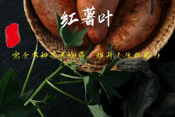 提高免疫力.jpg 提高免疫力.jpg