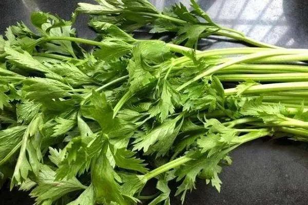吃芹菜叶子的危害