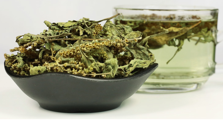 车前草的功效与作用 盘点车前草的五大作用功效