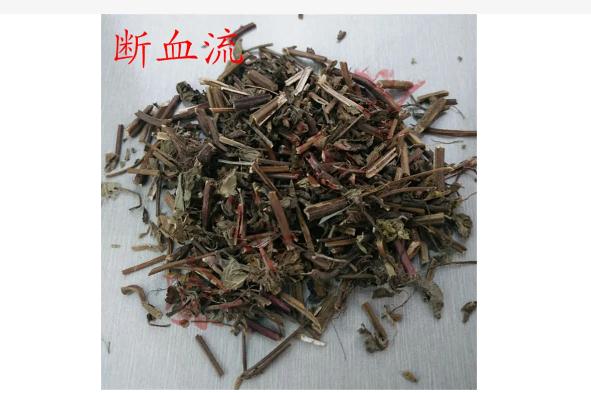 断血流的功效作用？断血流能治疗什么疾病？