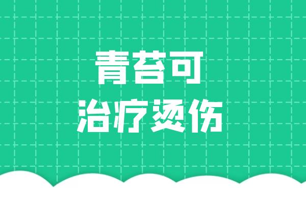 青苔的功效与作用及禁忌有哪些？