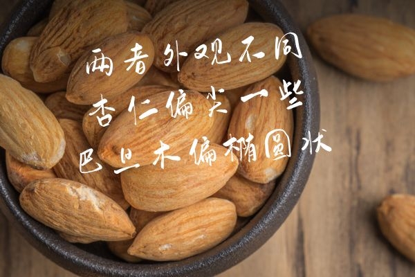 巴旦木和杏仁的区别