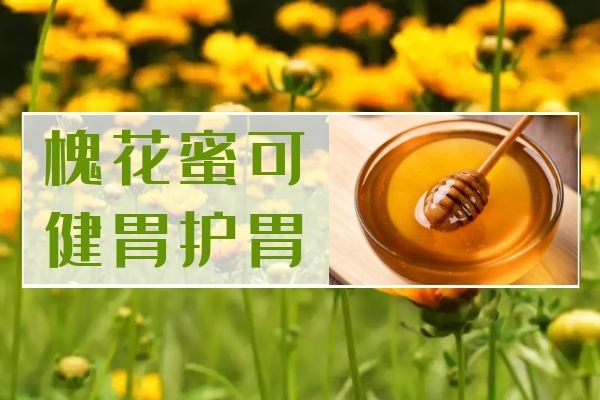 槐花蜜的功效与作用