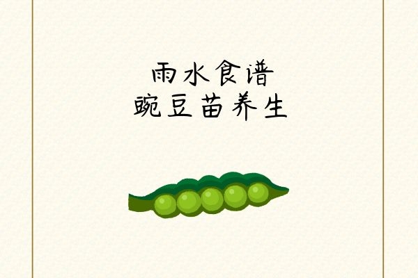 豌豆苗养生.jpg 豌豆苗养生.jpg