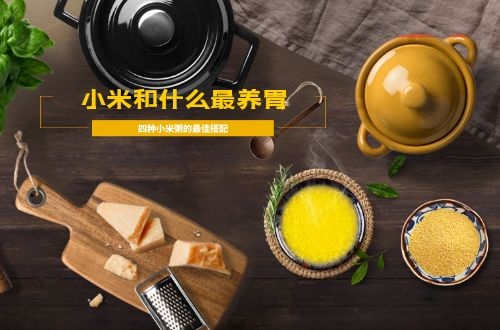小米和哪些食材熬粥最养胃呢？这里整理了四种小米粥最佳搭配